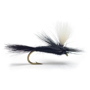 Parachute Black
