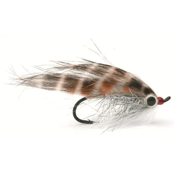 MIRRORED MINNOW, BARRED-8