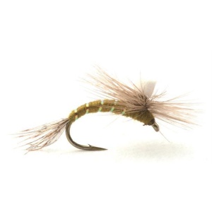 Baetis Klekker Olive