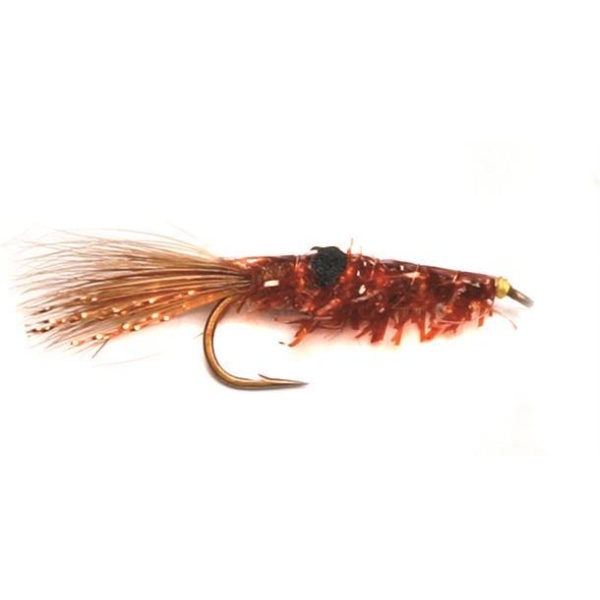 Copper Shrimp #8