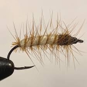 Superpuppan Cream/Brown