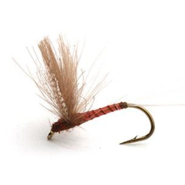 CDC BIOT COMP.DUN RED QUILL TØRR - 14