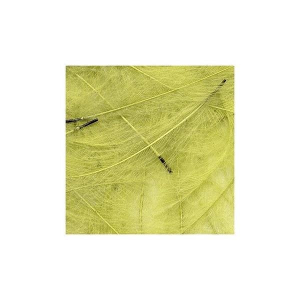 CDC Feathers 1gr - Bilde 13