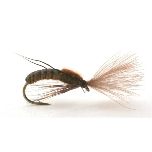 Super Emerging Caddis Brown Olive