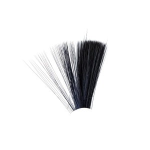 Tail Fibres