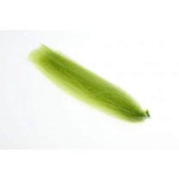 Flash'n Slinky - Bilde 9