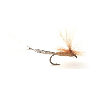Vulgata #10