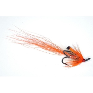 Ally's Shrimp Treble