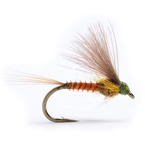 Cdc Biot Dun Emerger BWO
