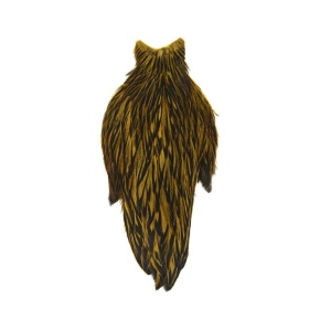 American Hen Cape Black laced