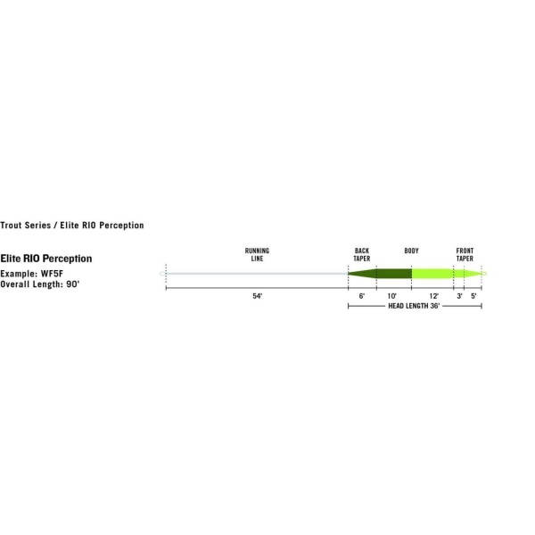 RIO Elite Perception - Bilde 3