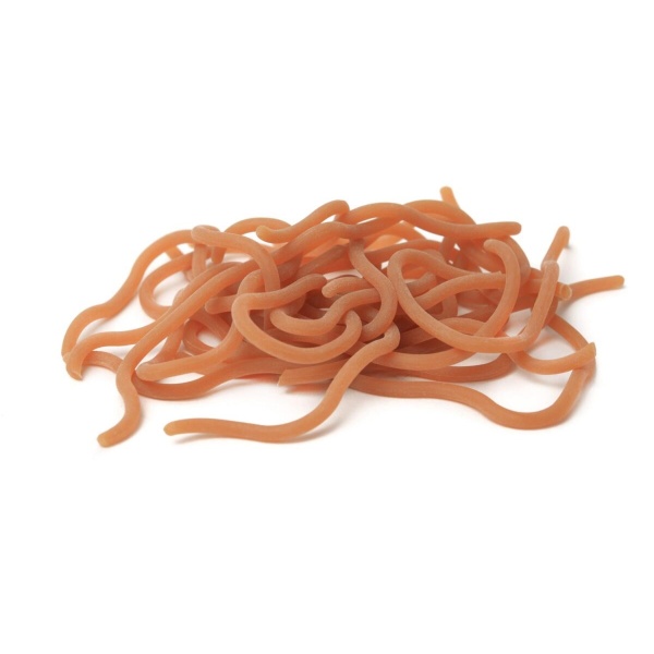Caster’s Squirmito Worm - Bilde 10