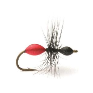 Transparant Ant Black/Red