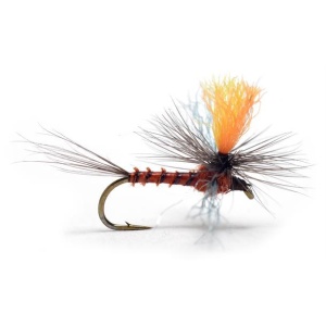 Profile Spinner Rusty