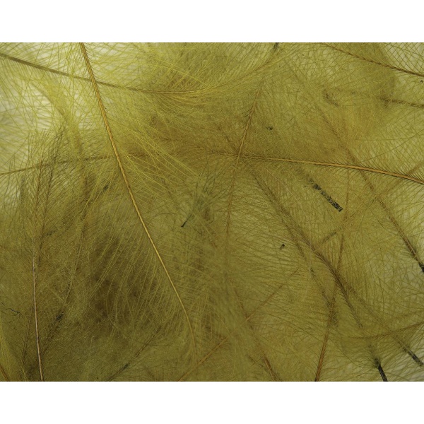 Petitjean CDC Feathers 1gr