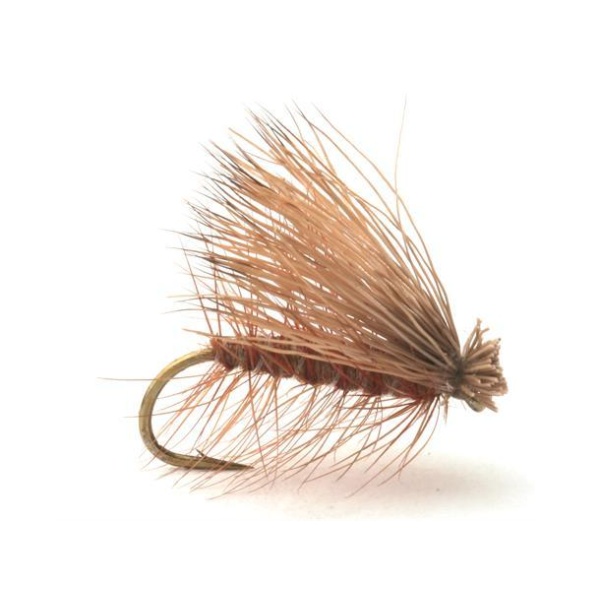 CDC Elk Caddis Brown