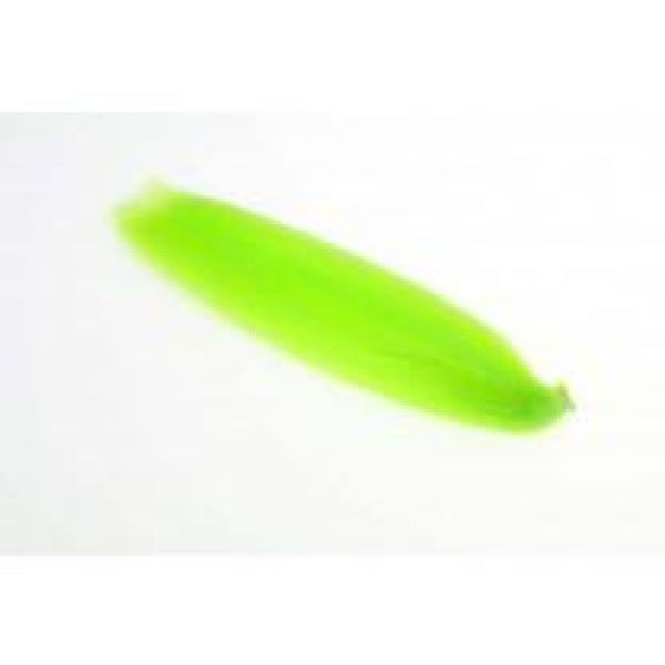 Flash'n Slinky - Bilde 13