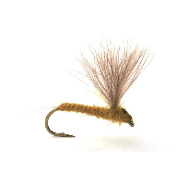 Runes CDC Nohackle Lt. Olive