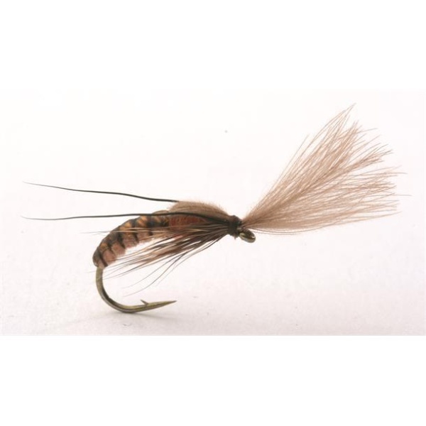 Super Emerging Caddis Cinnamon