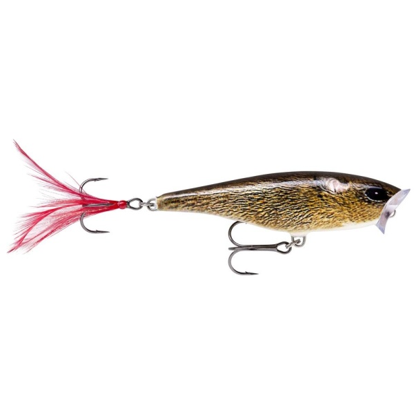 Rapala Skitter Pop 7cm - Bilde 5