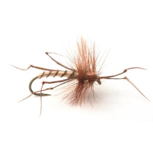 Daddy Long Legs #10