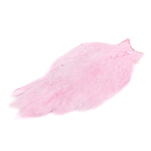 American Hen Cape