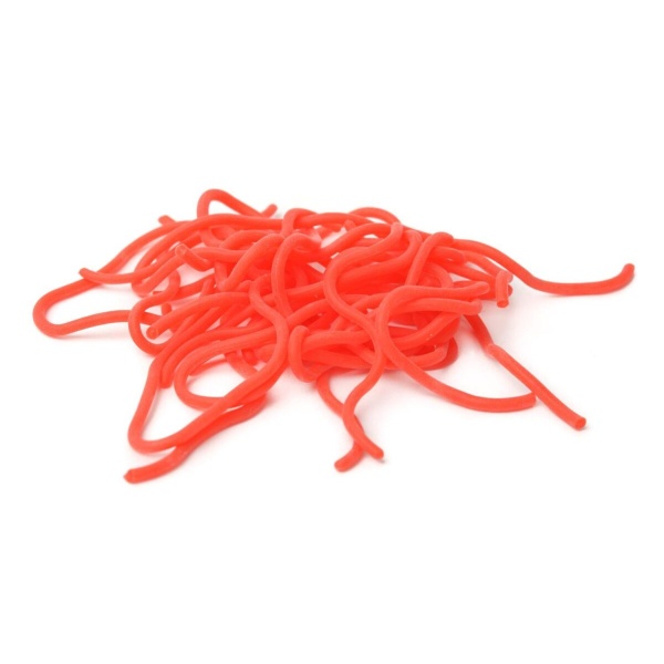 Caster’s Squirmito Worm - Bilde 8