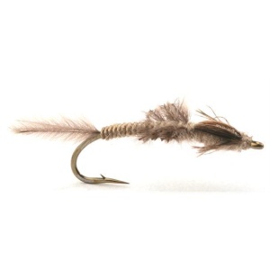 Vulgata Nymph #8