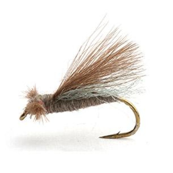 CDC CADDIS ADULT GRÅ VÅRFLUE TØRR - 10