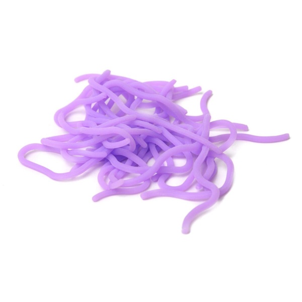 Caster’s Squirmito Worm - Bilde 9