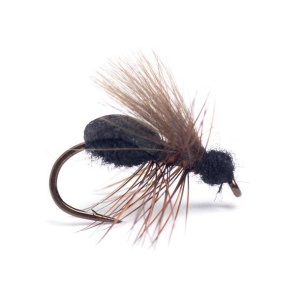 Rufa Flying Ant #12