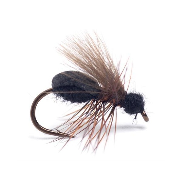 Rufa Flying Ant #12