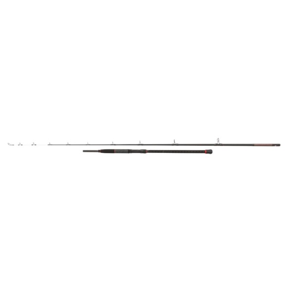 Penn Prevail II LE Uptide 3.00m 70-300g 2-Delt - Bilde 4
