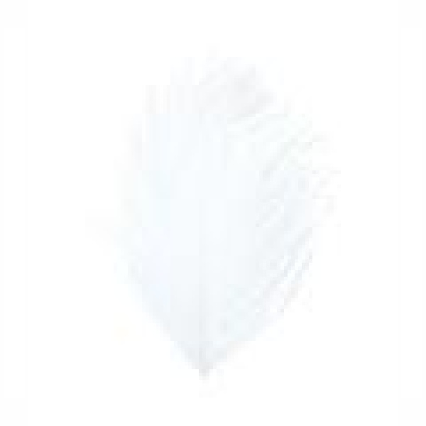Ostrich Herl - Bilde 2