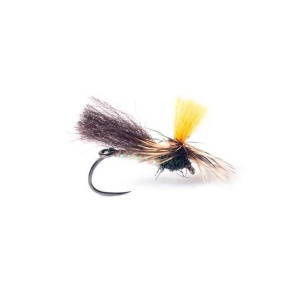 Indi Caddis #12