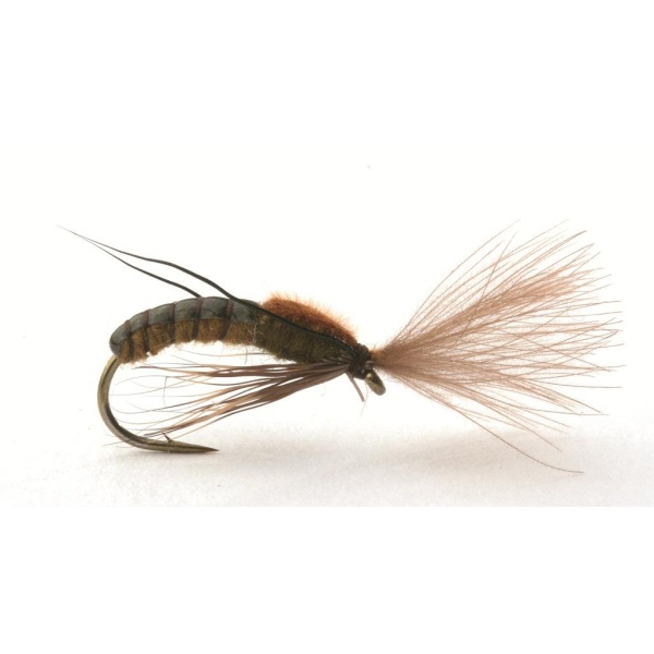 SUPER EMERGING CADDIS BROWN OLIVE - 12