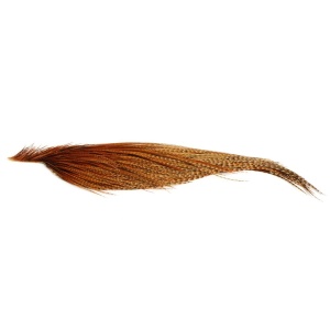Whiting Bronze 1/2 Hanenakke