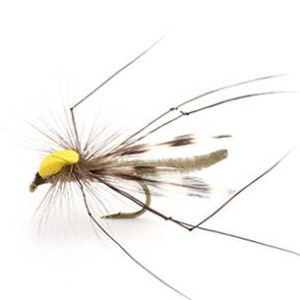 Parachute Long Legs #10