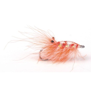 Runars Cdc Reke, Orange #6