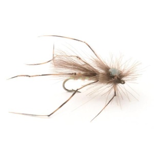 CDC Daddy Long Legs #12
