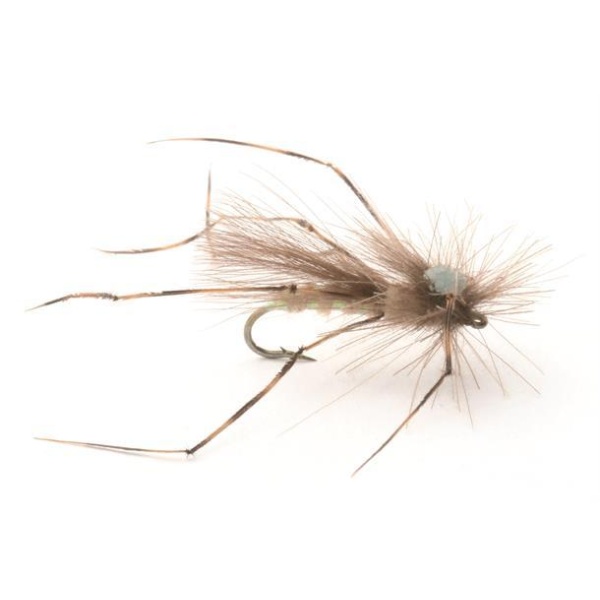CDC Daddy Long Legs #12