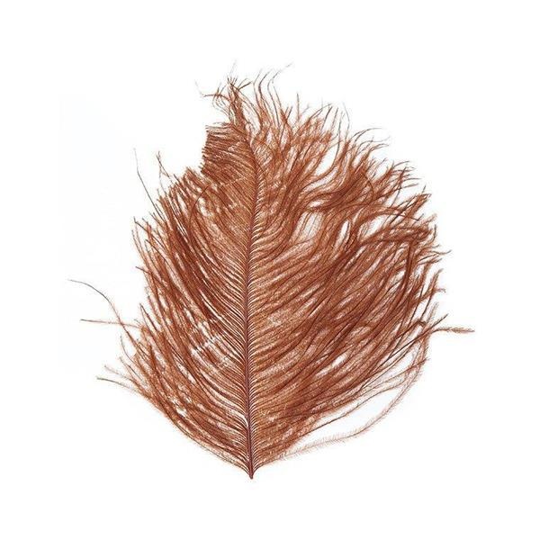 Ostrich Herl - Bilde 5