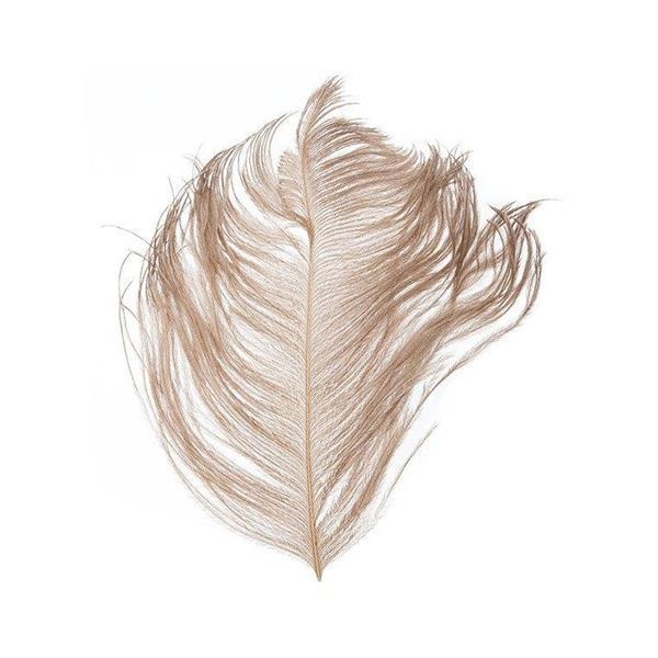 Ostrich Herl - Bilde 10