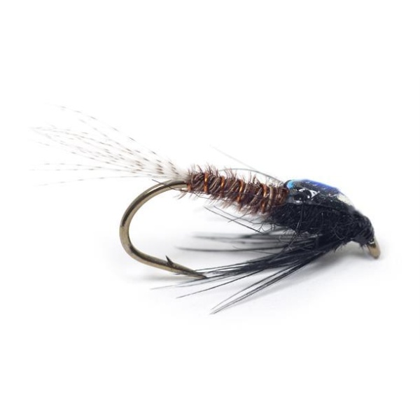 DK Brown Flashback PTN