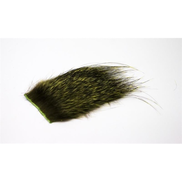 Nutria - Bilde 3