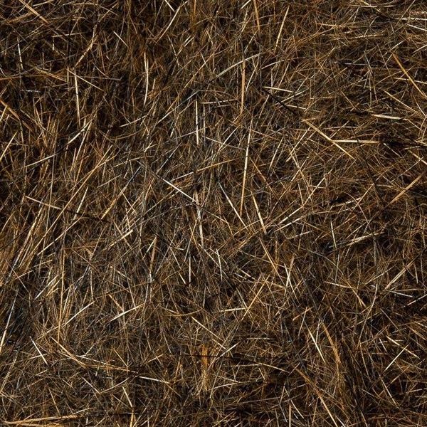 Natural Fur - Bilde 9