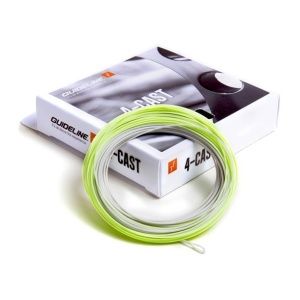 Guideline 4 Cast WF Flyt