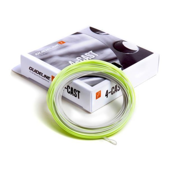 Guideline 4 Cast WF Flyt