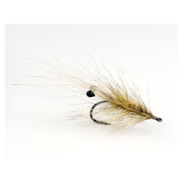 Coyote Grisen