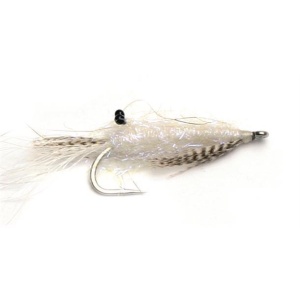 White Shrimp #6